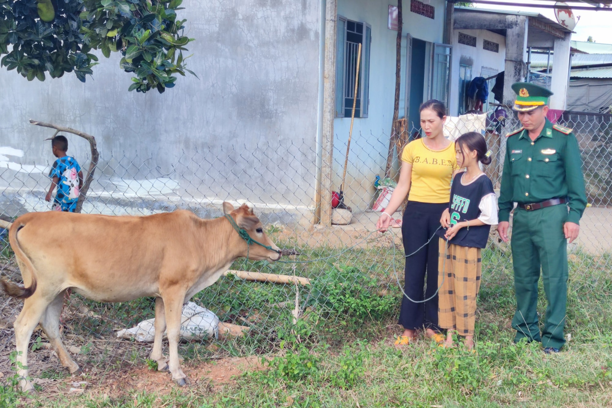 banh chung xanh tham tinh quan dan bien gioi hinh 6