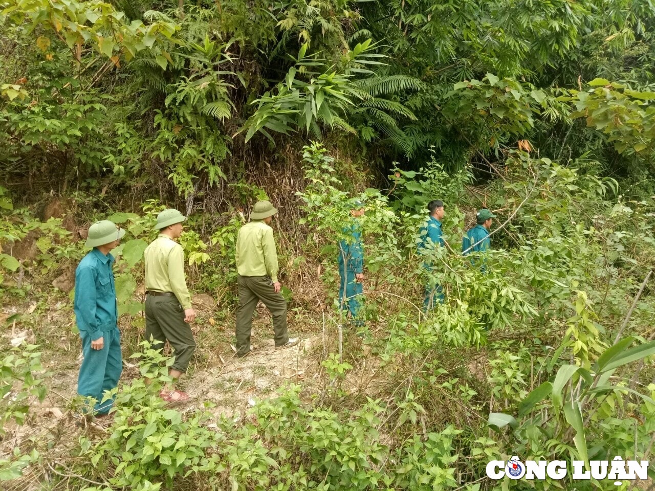 ve ban vin don tet cung kiem lam hinh 2