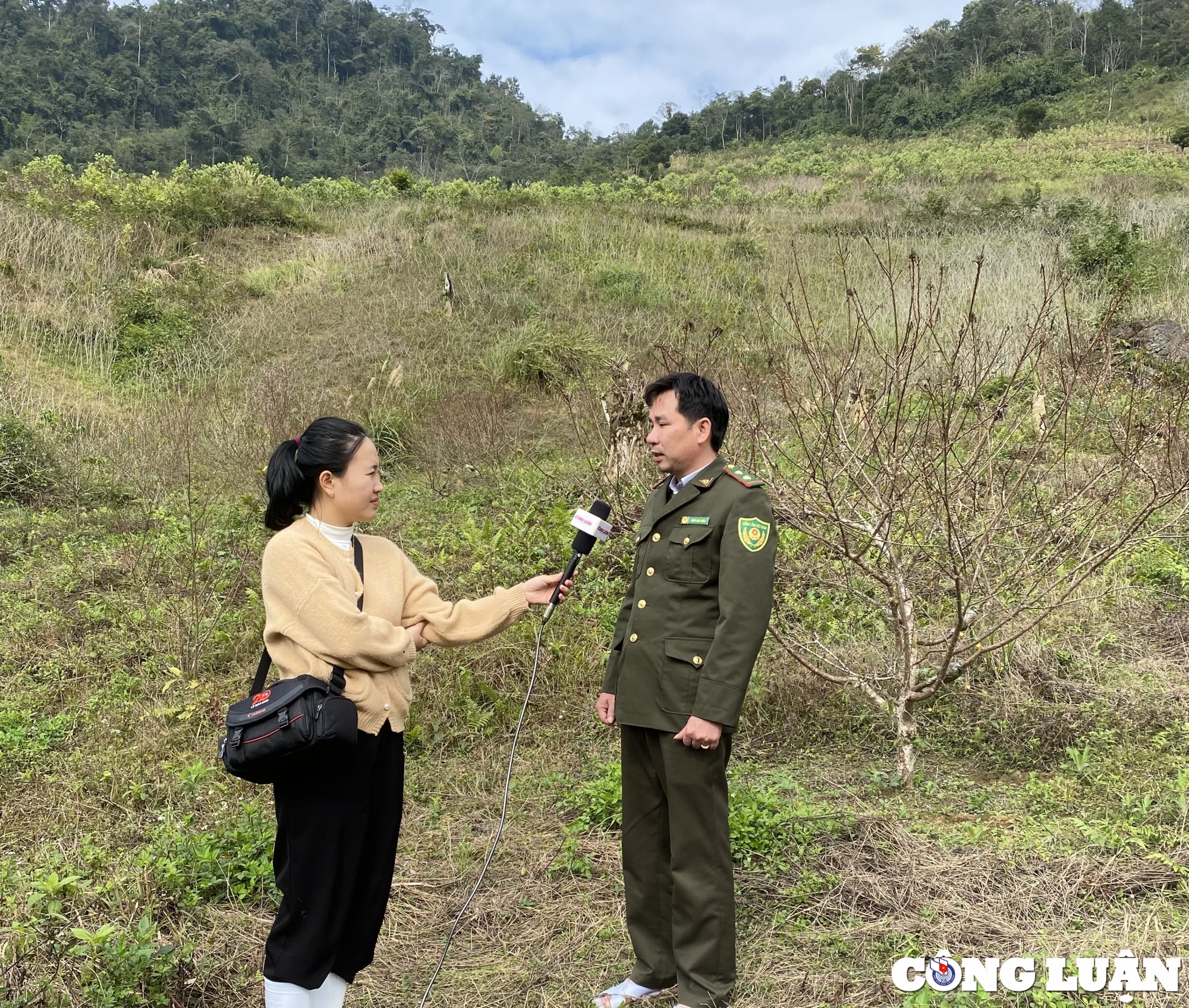 ve ban vin don tet cung kiem lam hinh 4