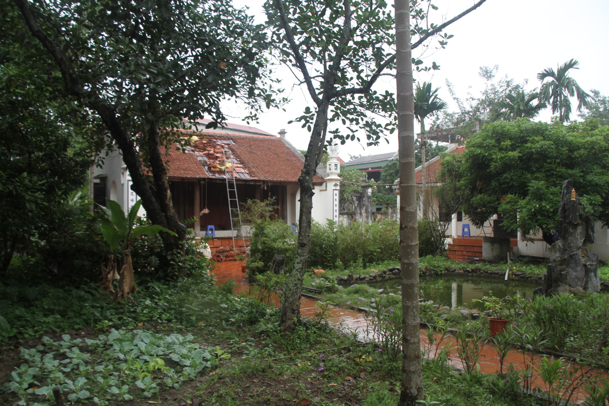 ngoi truong lang doc dao va minh triet giao duc cua nha yeu nuoc luong van can hinh 3