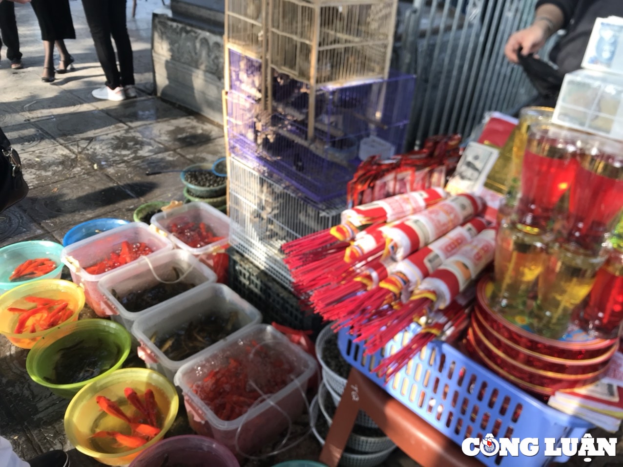 nguoi dan ha noi nao nuc di le chua dau nam hinh 7