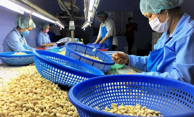 fta at chu bai cua xuat khau viet nam hinh 1