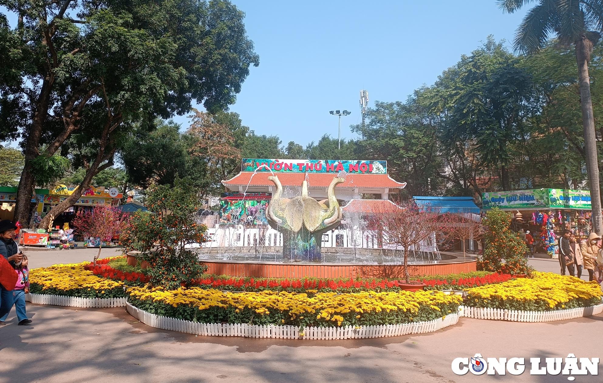 cong vien thu le hut khach tham quan trong nhung ngay dau nam moi quy mao hinh 1