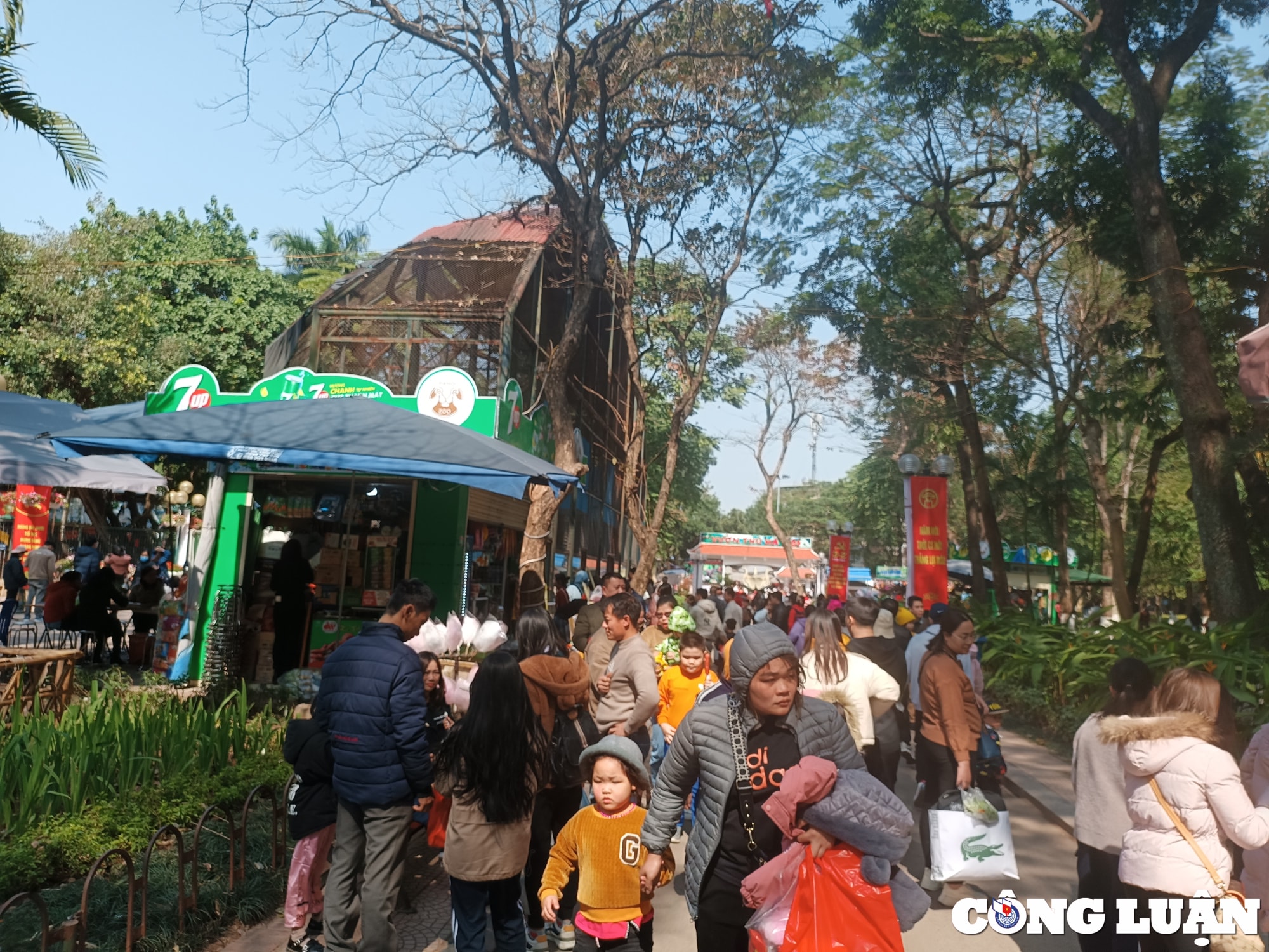 cong vien thu le hut khach tham quan trong nhung ngay dau nam moi quy mao hinh 3