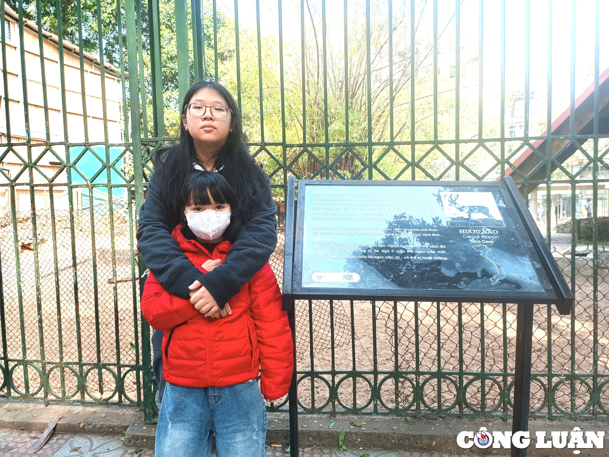 cong vien thu le hut khach tham quan trong nhung ngay dau nam moi quy mao hinh 10