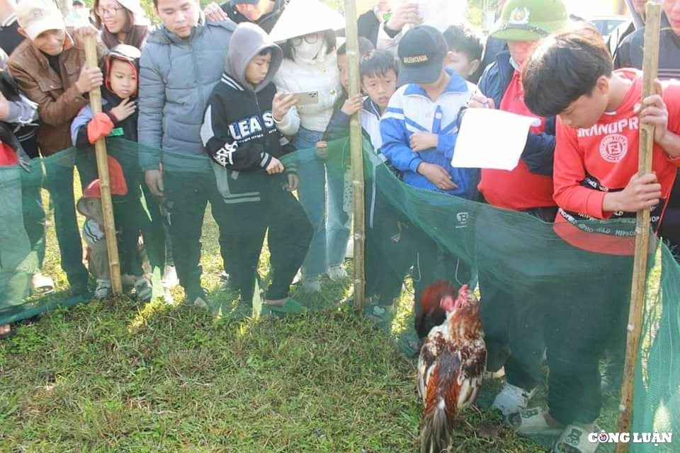 khai hoi chua huong tich  mo dau nam du lich ha tinh 2023 hinh 16