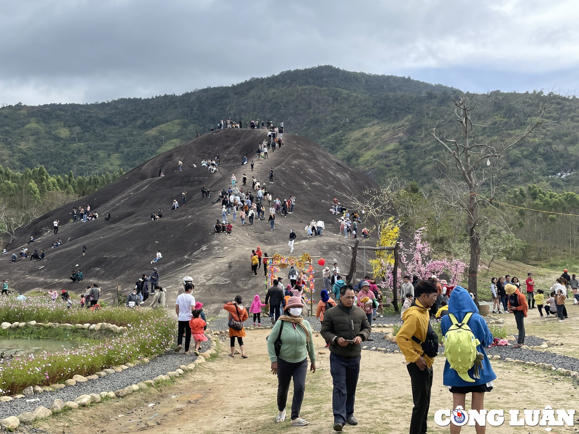 dak lak nguoi dan bat ngo vi bi thu tien ho tro khi chup anh da voi khong lo hinh 1