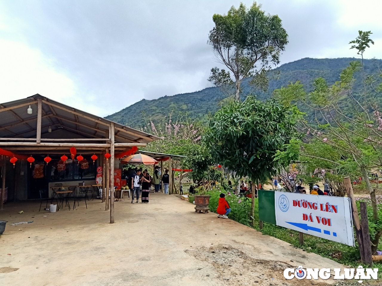 dak lak nguoi dan bat ngo vi bi thu tien ho tro khi chup anh da voi khong lo hinh 5