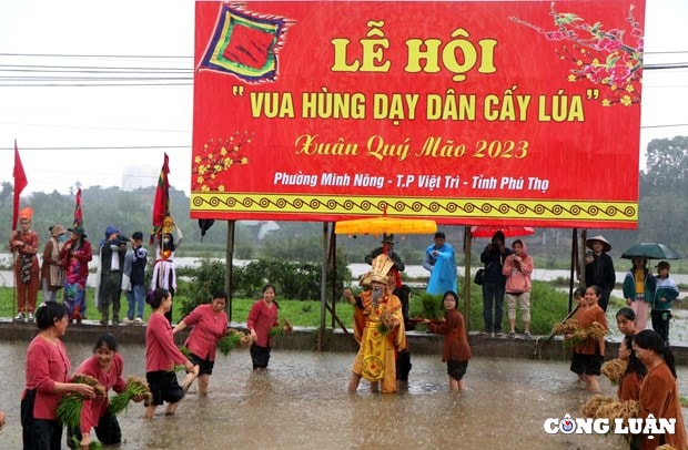 doc dao le hoi vua hung day dan cay lua o phu tho hinh 4