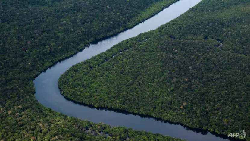 nan pha rung amazon cua brazil giam manh ke tu nam 2023 hinh 1