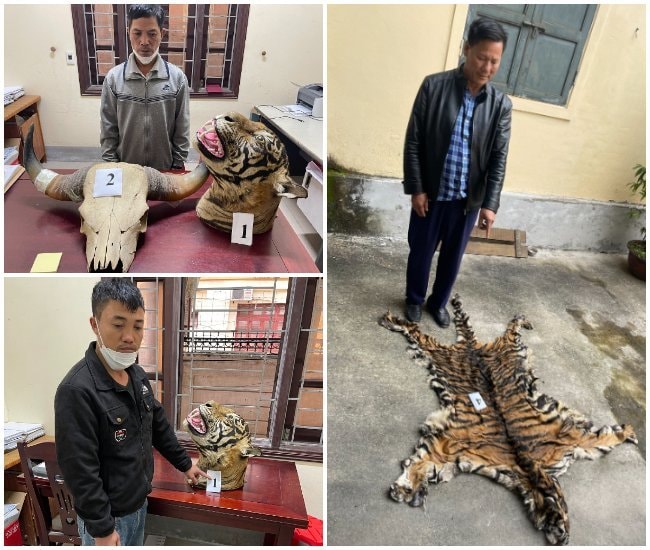 khoi to 3 doi tuong mua ban dong vat hoang da quy hiem hinh 1