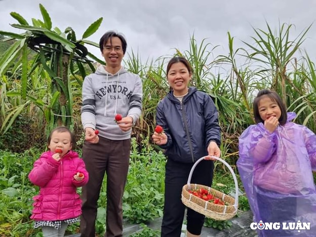 dich vu hai dau tay tai vuon thu hut khach hang toi tham quan trai nghiem hinh 1