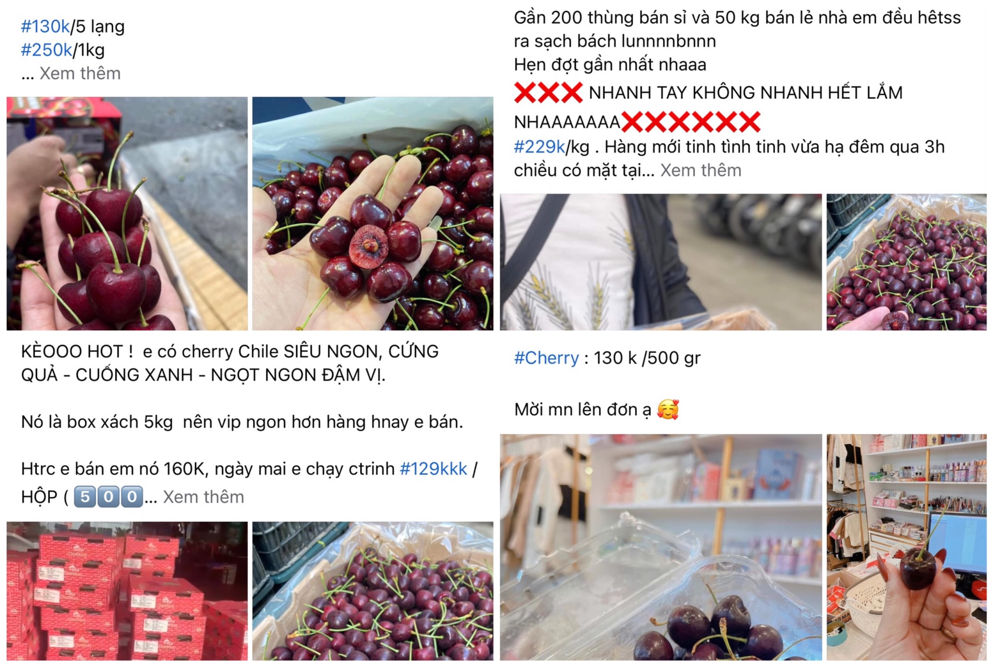cherry ngoai gia re do xo cho viet hinh 3