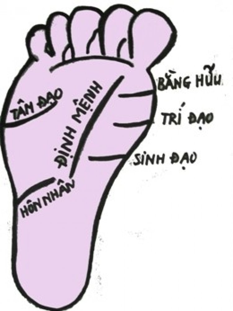 y nghia duong tri dao trong long ban chan hinh 1
