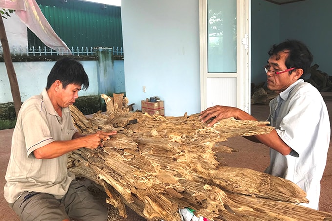 khanh hoa tung buoc xay dung diem du lich lang nghe hinh 1