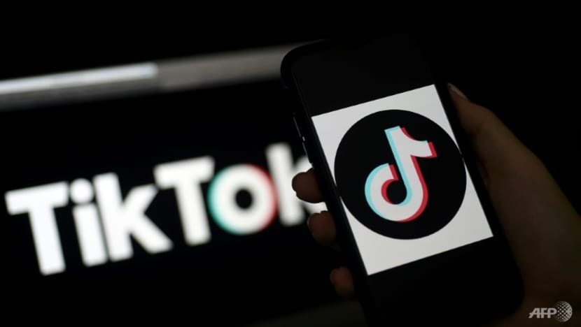 tiktok gioi han thoi gian su dung doi voi tre em hinh 1