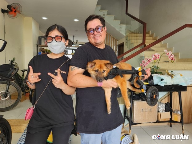 cap doi chong tay vo viet ve tiep su song cho cho meo khuyet tat hinh 1