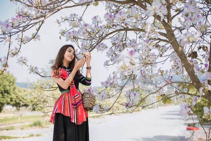 dien bien san sang khai hoi hoa ban hinh 1