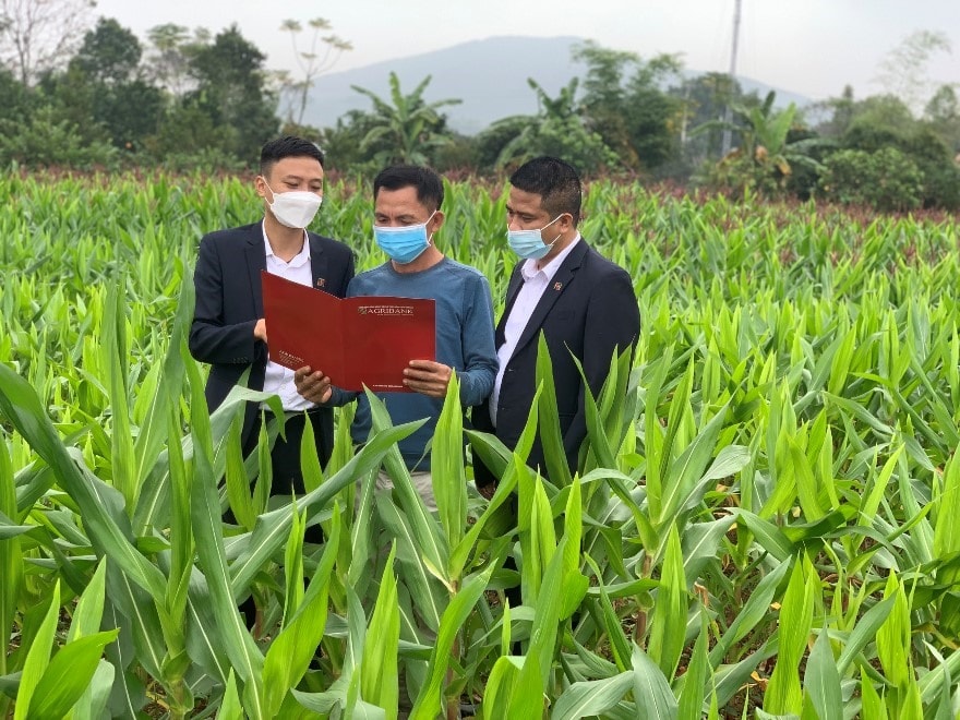 agribank 35 nam kien dinh vi su menh tam nong hinh 1