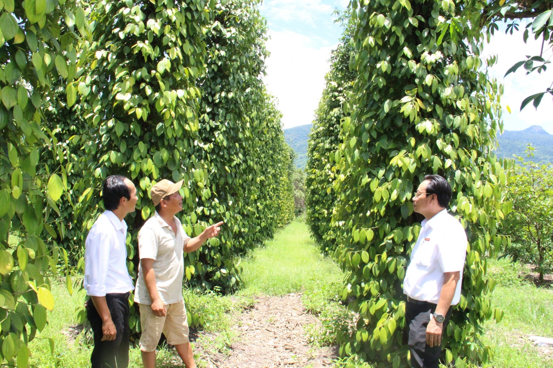agribank 35 nam kien dinh vi su menh tam nong hinh 3