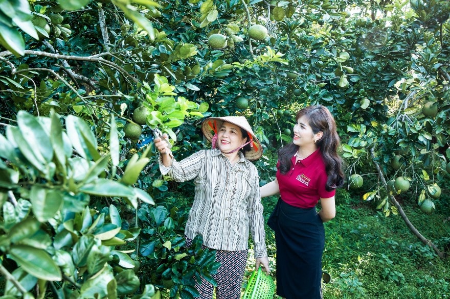agribank 35 nam kien dinh vi su menh tam nong hinh 4
