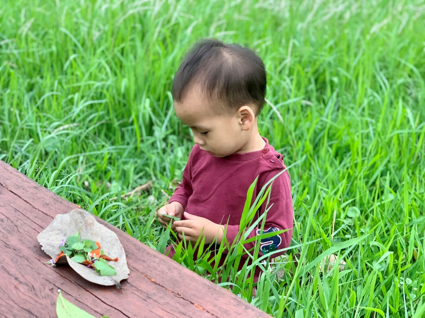 vung dat cua nhung dua tre hanh phuc hinh 4