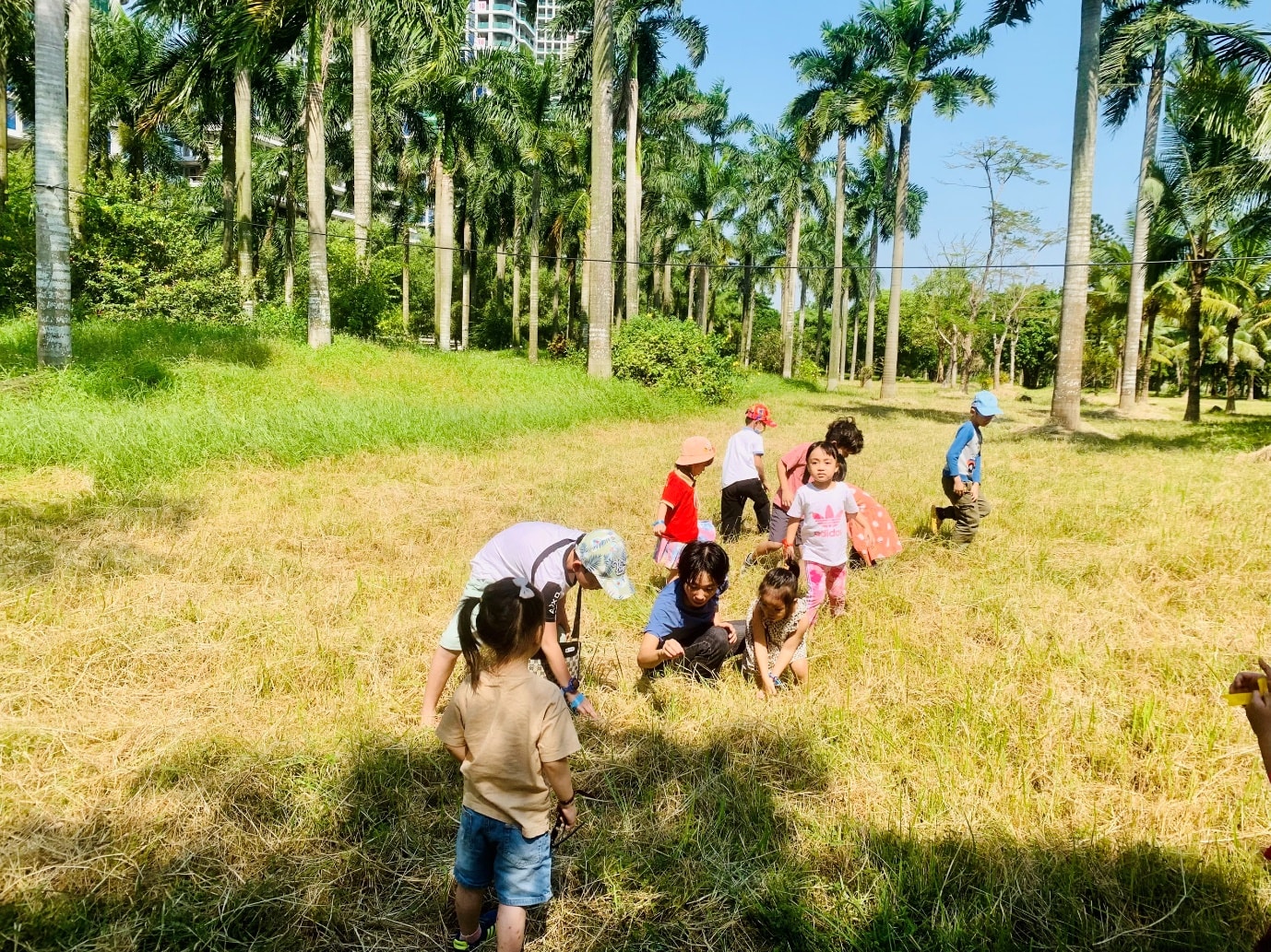 vung dat cua nhung dua tre hanh phuc hinh 6