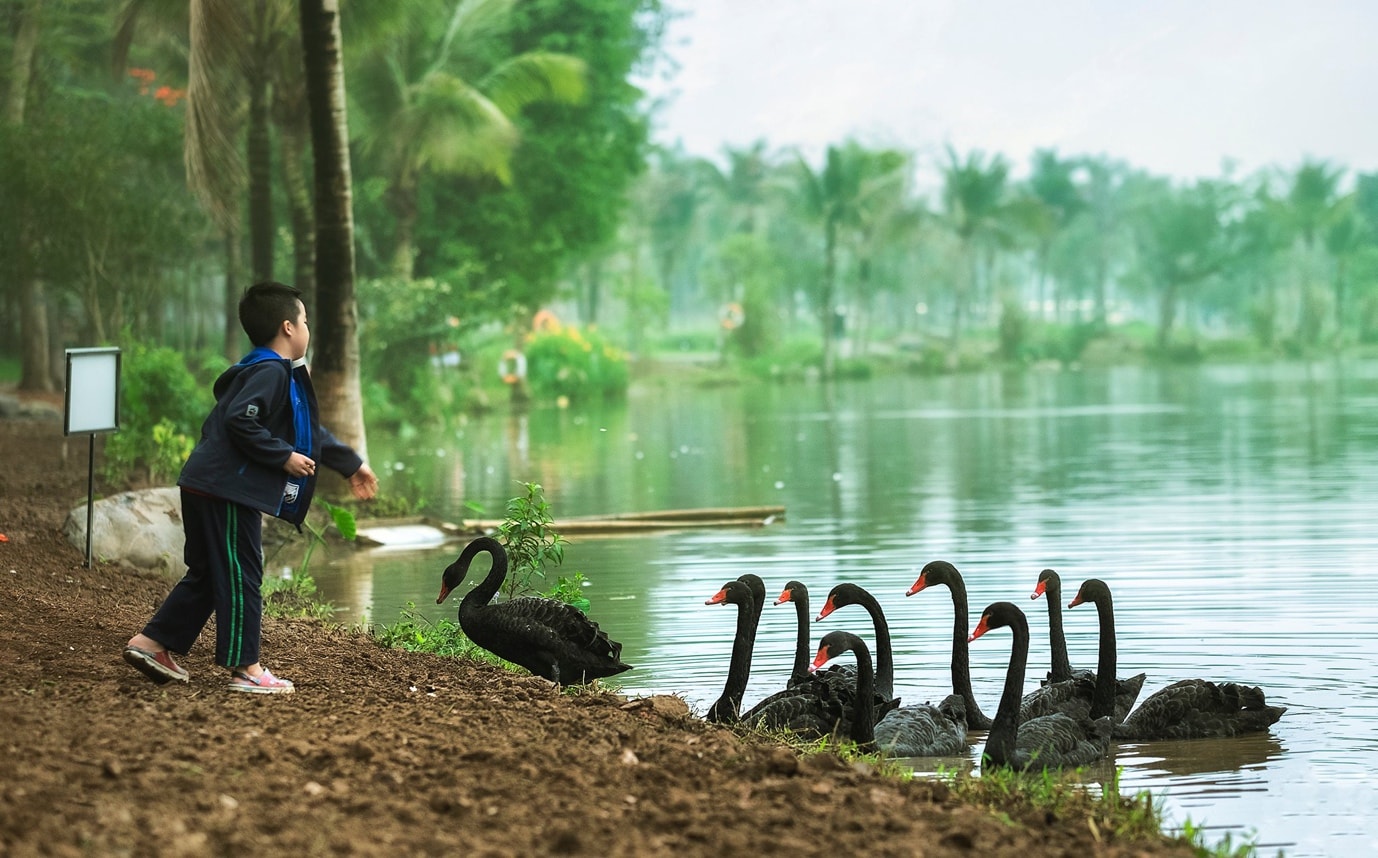 vung dat cua nhung dua tre hanh phuc hinh 3