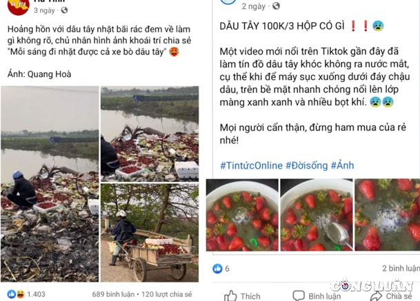 tieu thuong cho mang tung chieu giai cuu dau tay moc chau voi gia sieu re hinh 2