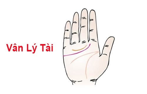 tuong tay nhieu tien cua tai loc tieu ca doi khong het hinh 2