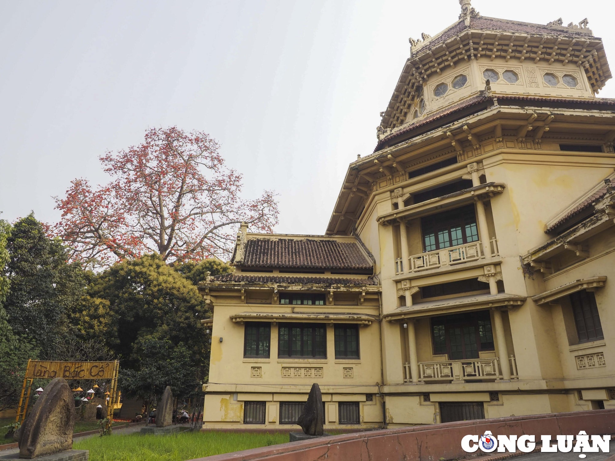 ha noi thang 3 mua hoa gao no ruc do hinh 1