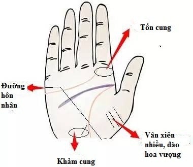net tuong tay cua nguoi co so dao hoa suot doi hinh 1