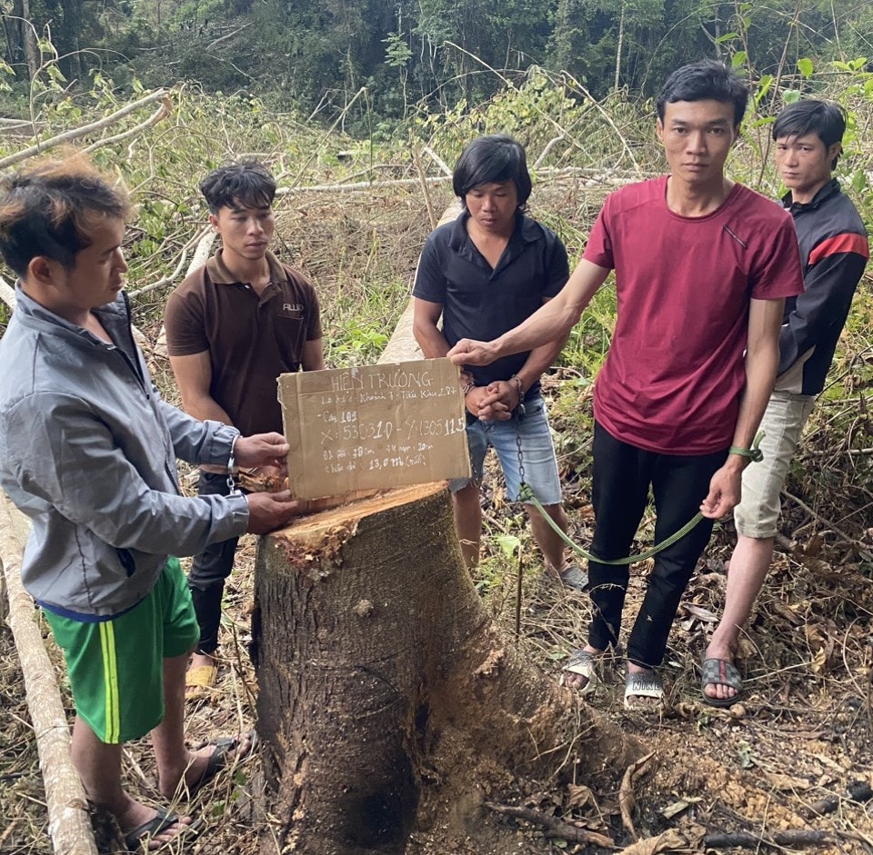lam dong tam giu nhom doi tuong pha rung trai phep tai huyen lam ha hinh 1