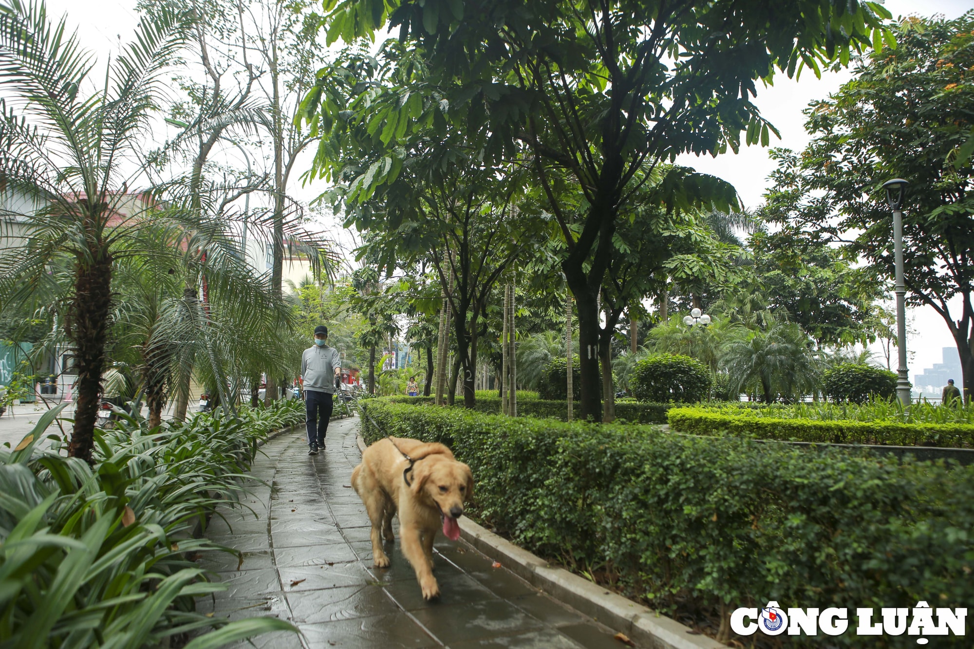 ha noi sau mot thang gianh lai via he tuyen duong quanh ho tay da co nhieu thay doi hinh 3