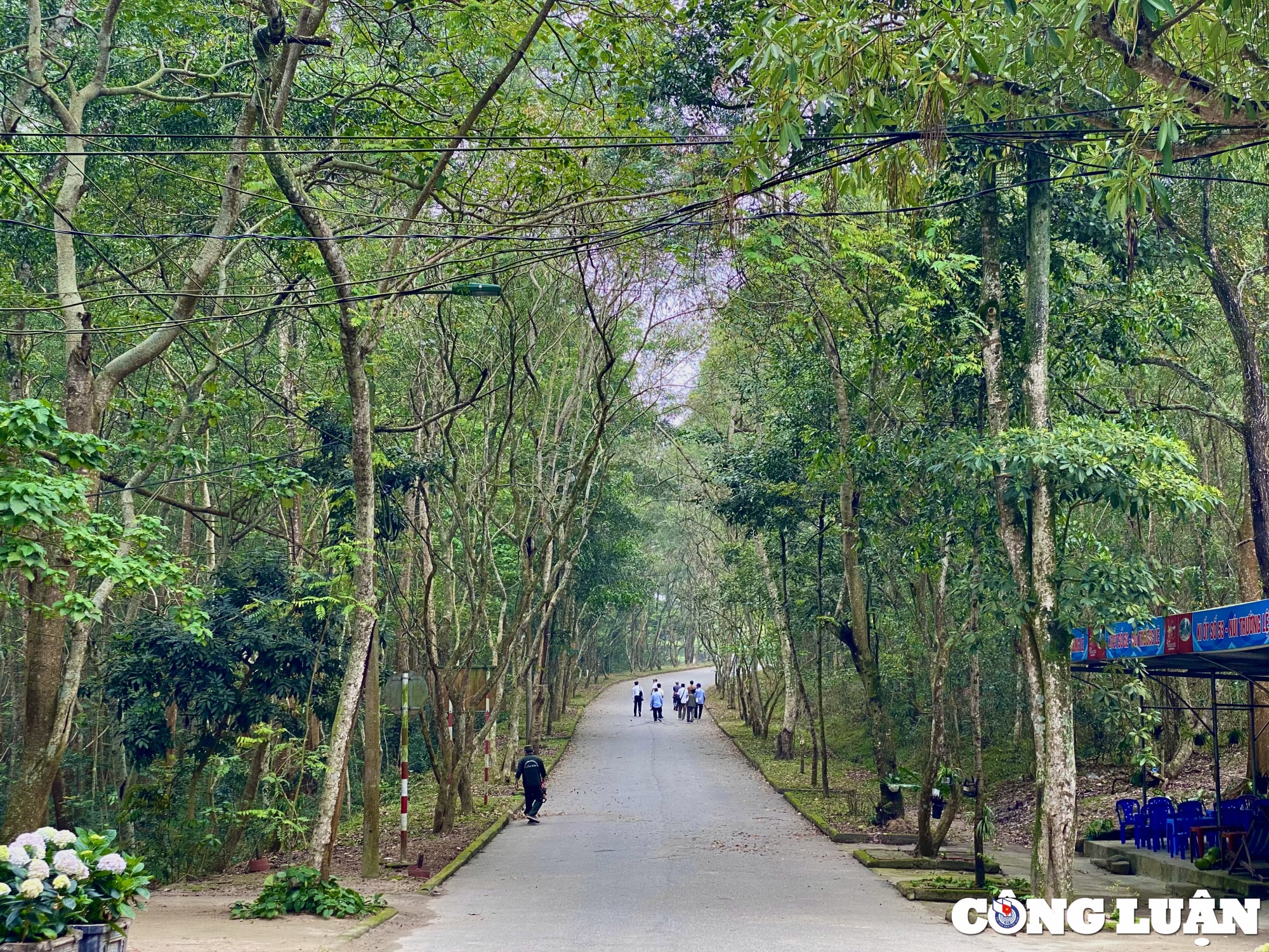 hon trong mai sam son thanh hoa 3 phien da 1 cau chuyen hinh 3