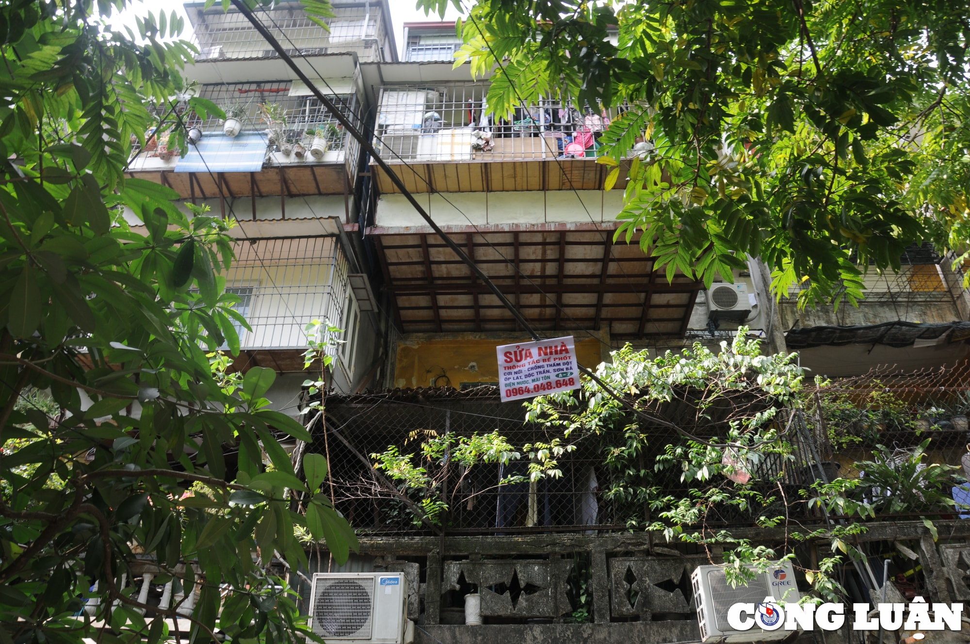 ha noi thi truong mua ban chung cu cu nhon nhip tro lai hinh 2
