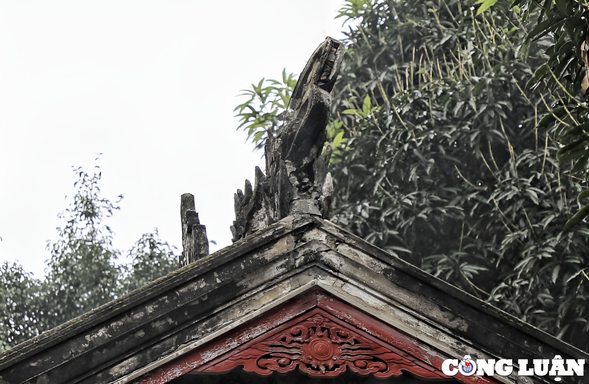 can trien khai tu bo khue van cac de ngan chan tinh trang xuong cap hinh 9