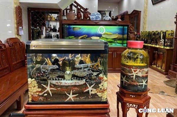 nhieu hiem hoa tu cac loai ruou thuoc tu ngam hinh 1