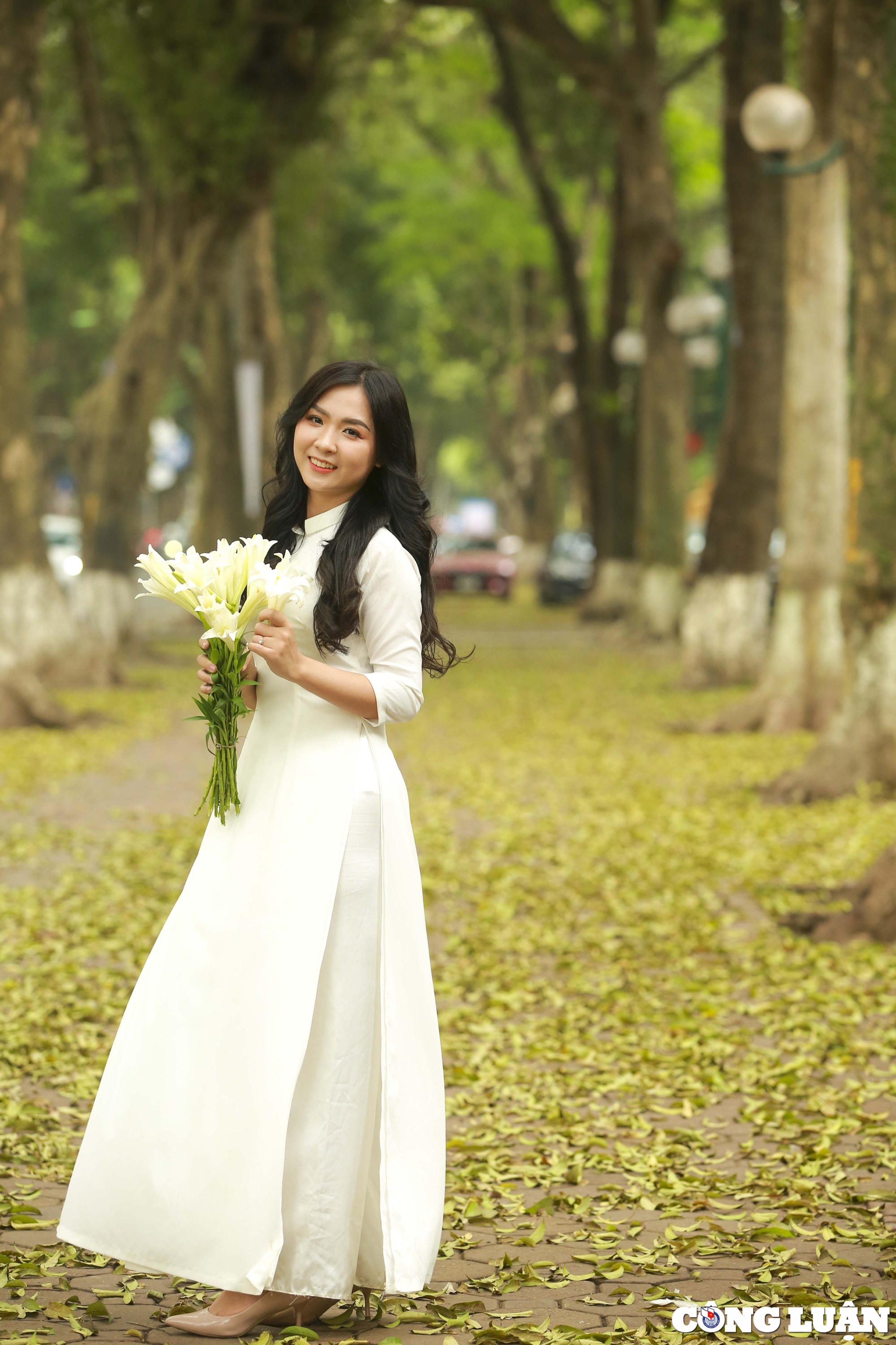mua cay thay la trai tham vang tren con duong lang man nhat ha noi hinh 4