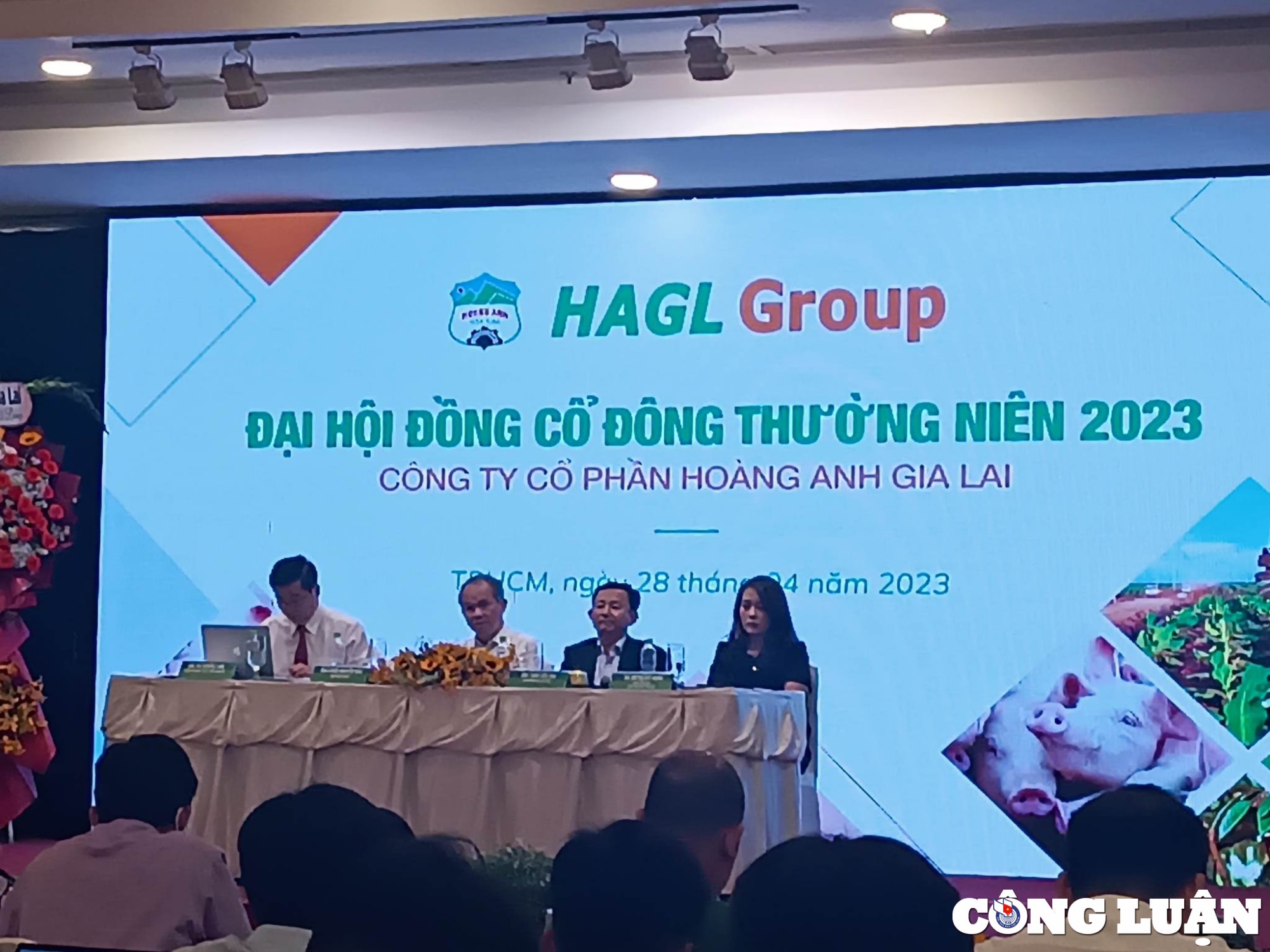 hoang anh gia lai hag suyt khong to chuc duoc dhdcd ke hoach loi nhuan di ngang khong chia co tuc hinh 1