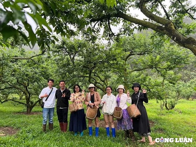 du lich vuon man moc chau thu hut khach du lich dip nghi le 30 4 1 5 hinh 1