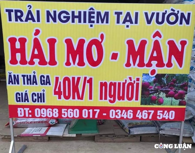du lich vuon man moc chau thu hut khach du lich dip nghi le 30 4 1 5 hinh 2