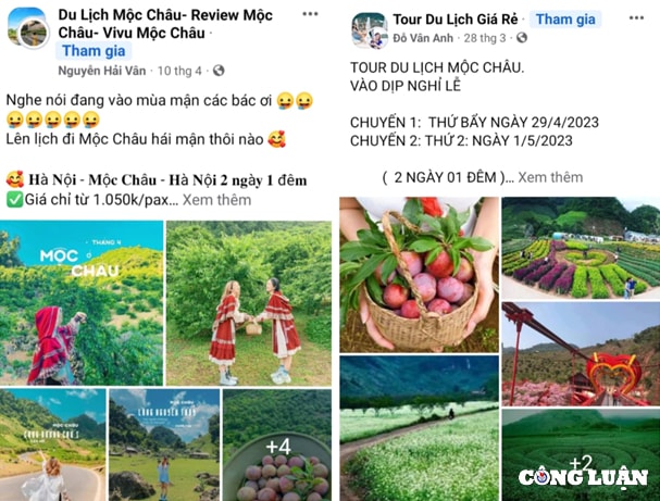 du lich vuon man moc chau thu hut khach du lich dip nghi le 30 4 1 5 hinh 3