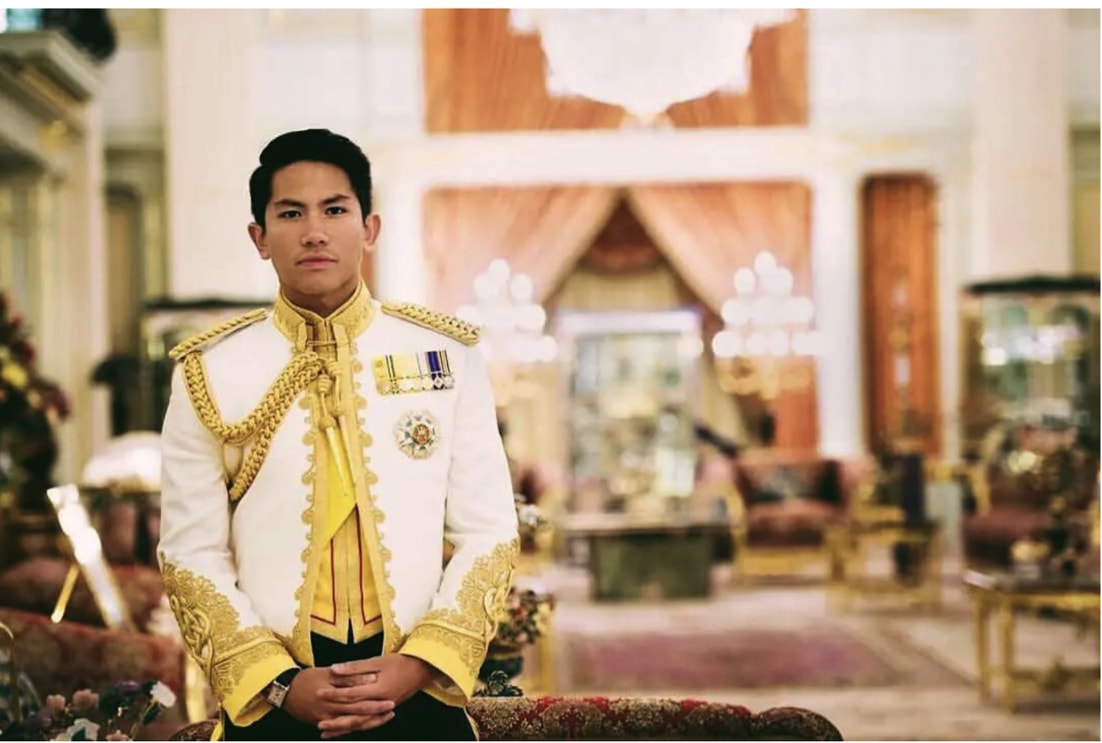 hoang tu brunei bi don mang giay 17 trieu usd sang viet nam tim vo giau co nao hinh 3