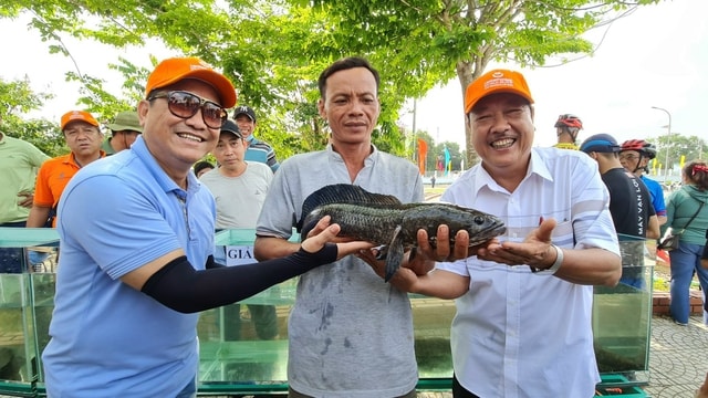 ca mau khong to chuc le hoi khinh khi cau do thoi tiet khong dam bao hinh 2