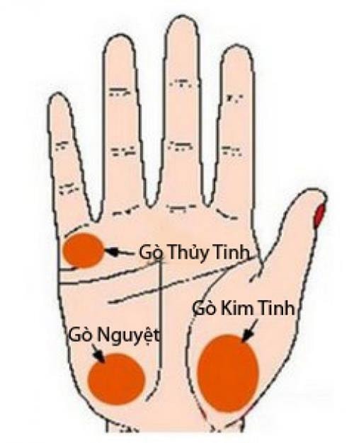 duong chi tay cua phu nu de gap tro ngai duong con cai hinh 3