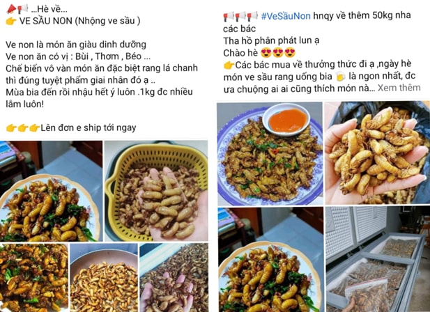 nhong ve sau duoc san don khi vao he nguoi su dung can can trong ngo doc hinh 1