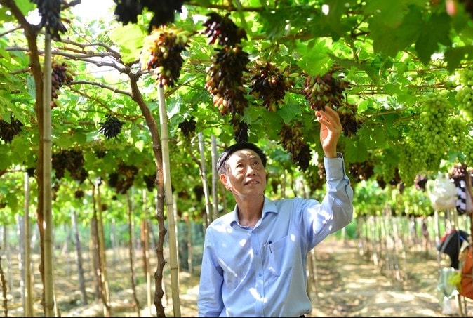 ninh thuan lan dau to chuc thi gian nho dep hinh 1