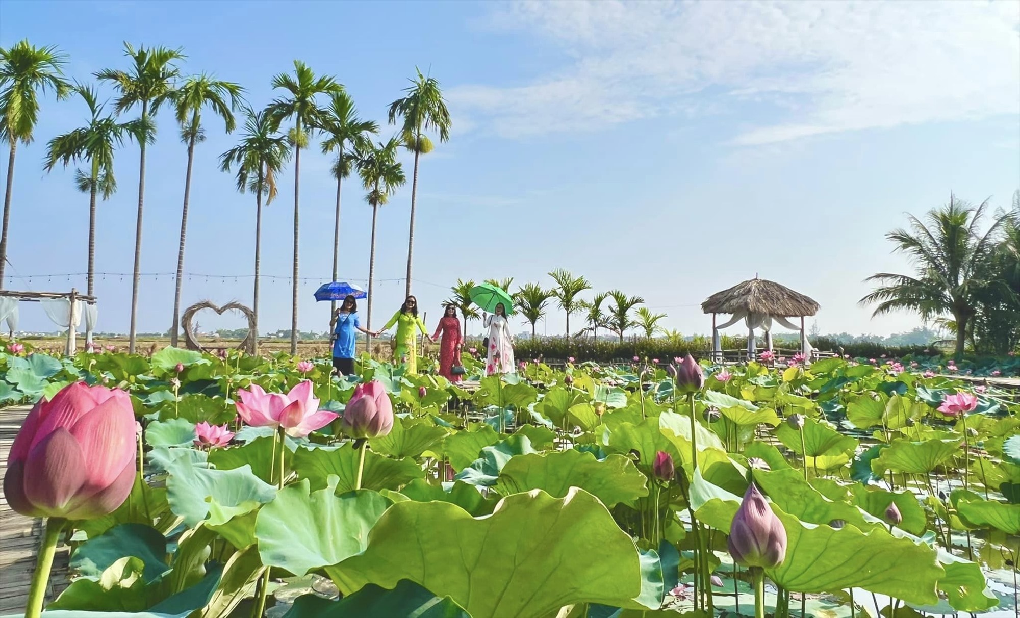 nong dan o duy xuyen quang nam dau tu mo hinh du lich sinh thai hinh 1