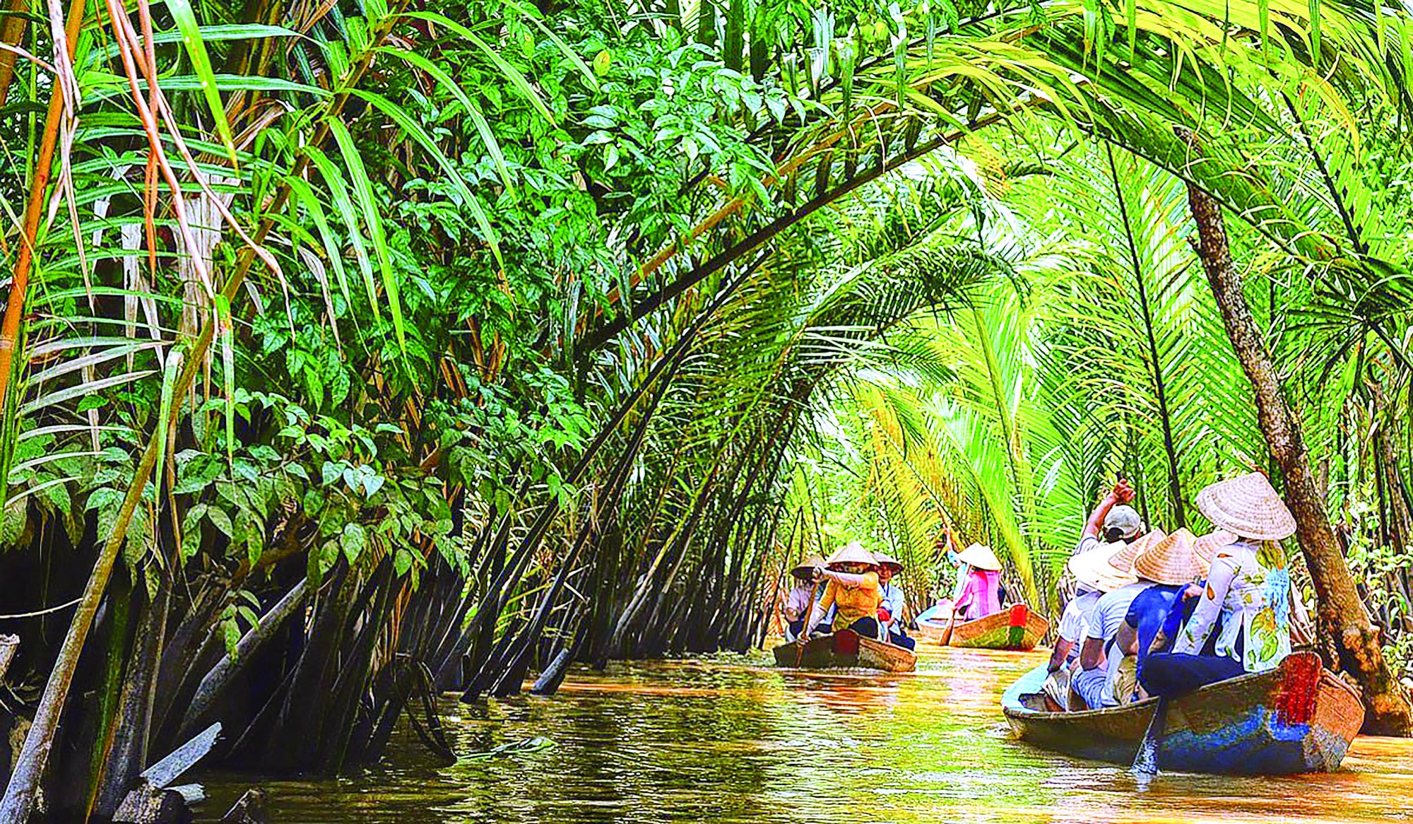 chum tho cua nguyen hong vinh hinh 2